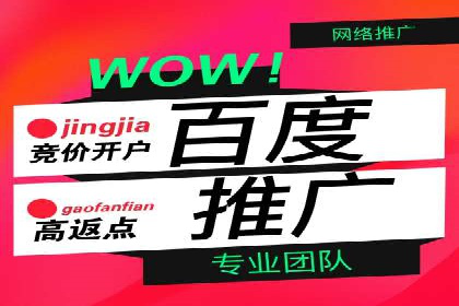 精准营销：百度推广平台的成功案例解析
